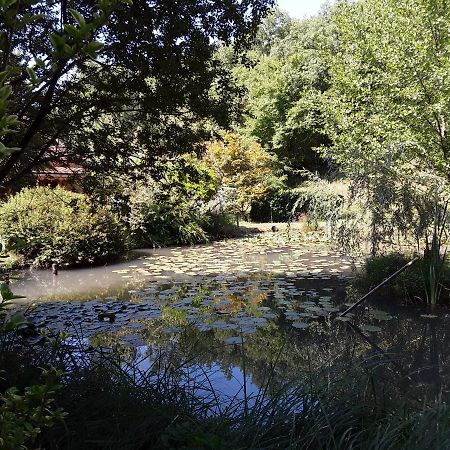Le Chalet De La Grenouille Verte Tursac Εξωτερικό φωτογραφία