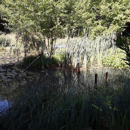 Le Chalet De La Grenouille Verte Tursac Εξωτερικό φωτογραφία