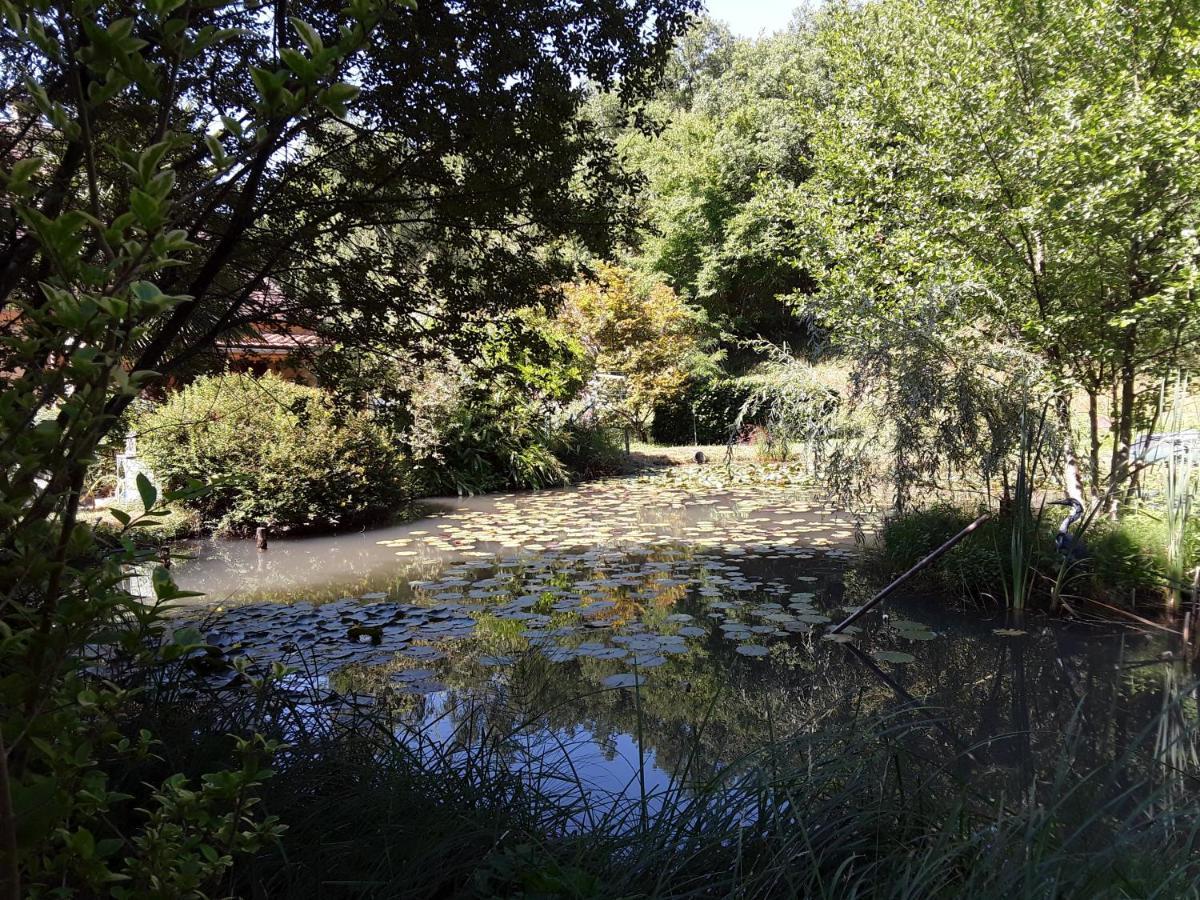 Le Chalet De La Grenouille Verte Tursac Εξωτερικό φωτογραφία