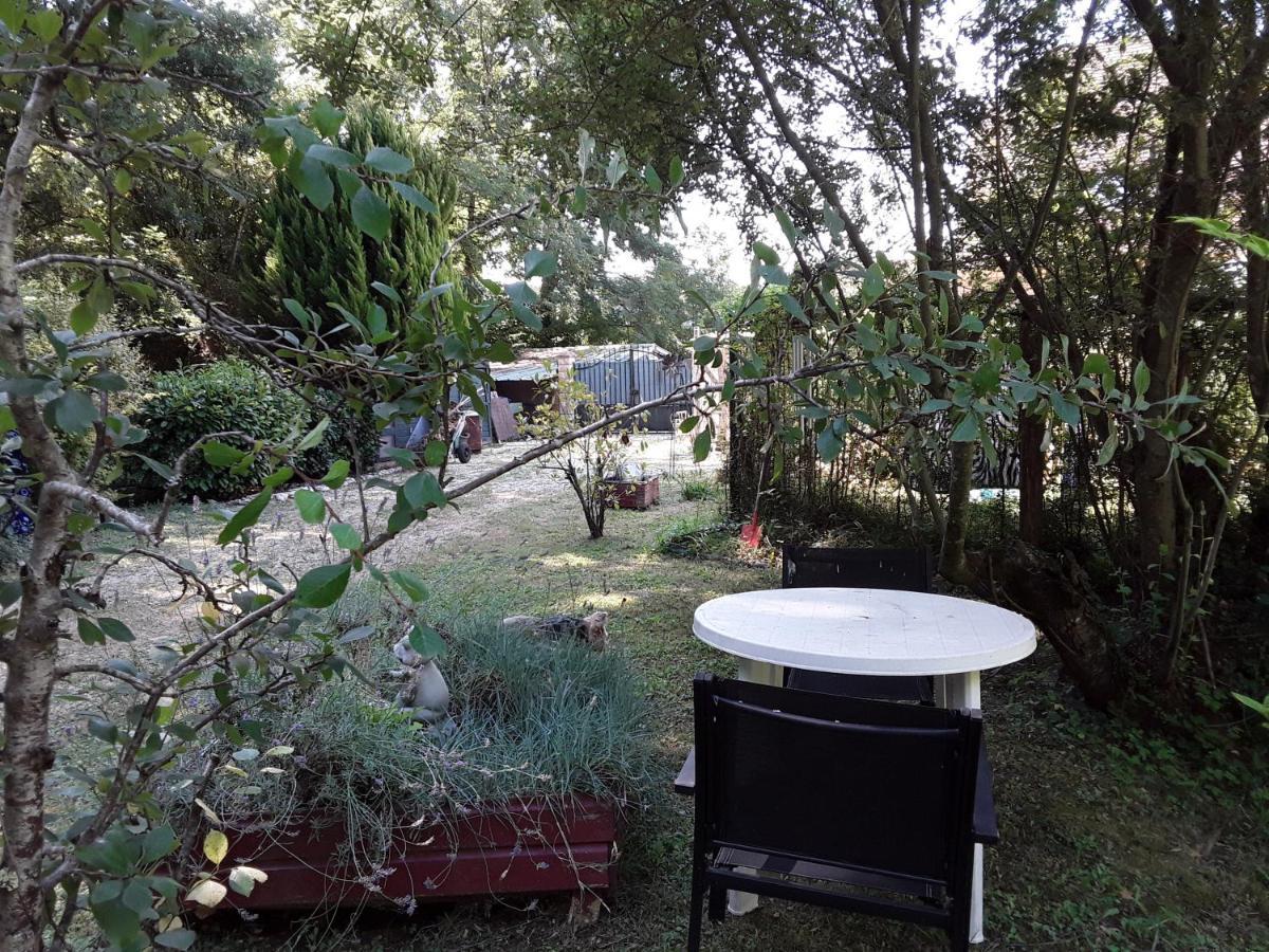 Le Chalet De La Grenouille Verte Tursac Εξωτερικό φωτογραφία