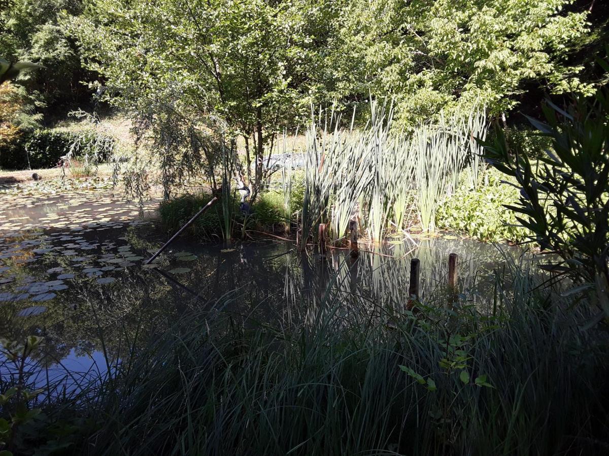 Le Chalet De La Grenouille Verte Tursac Εξωτερικό φωτογραφία